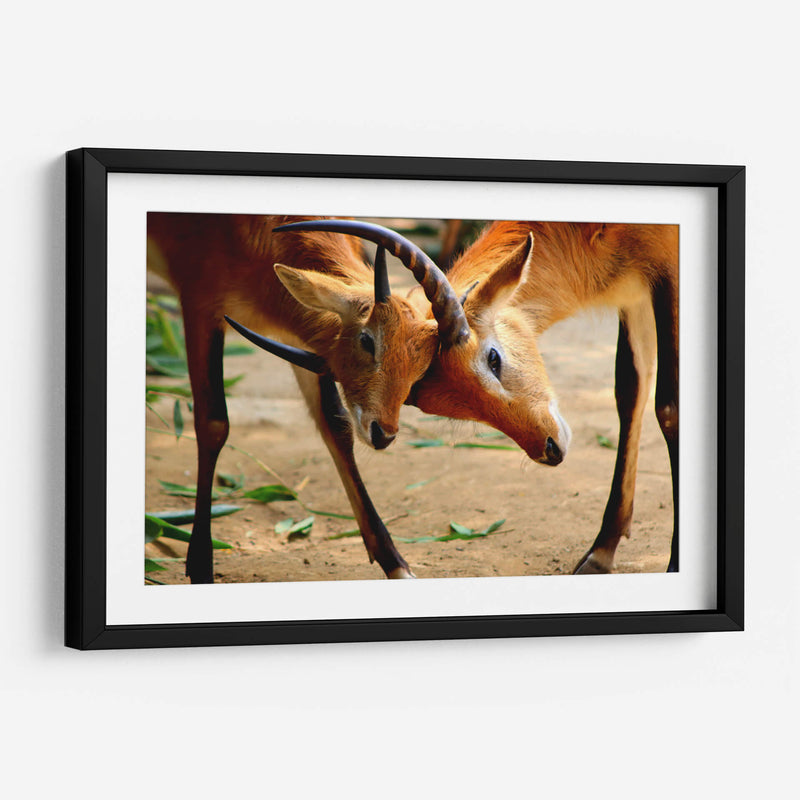 Amor de madre - Alan050 | Cuadro decorativo de Canvas Lab