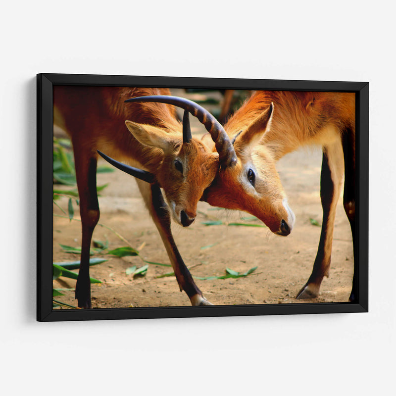 Amor de madre - Alan050 | Cuadro decorativo de Canvas Lab