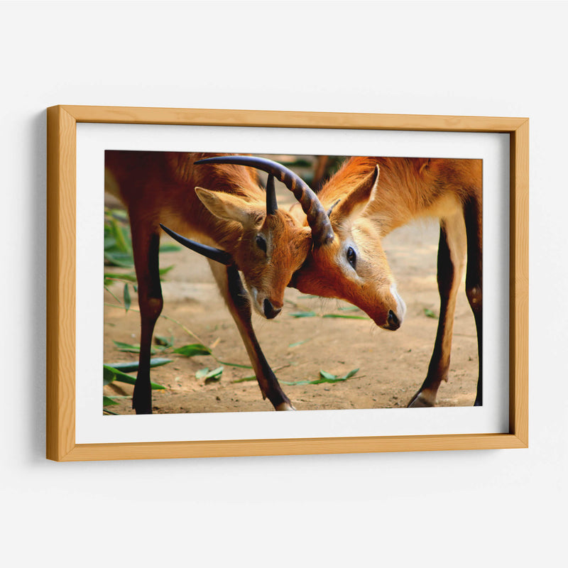 Amor de madre - Alan050 | Cuadro decorativo de Canvas Lab