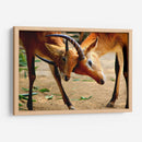 Amor de madre - Alan050 | Cuadro decorativo de Canvas Lab