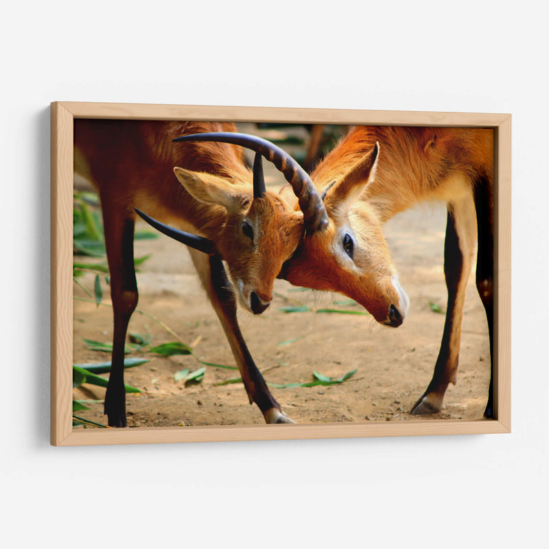 Amor de madre - Alan050 | Cuadro decorativo de Canvas Lab