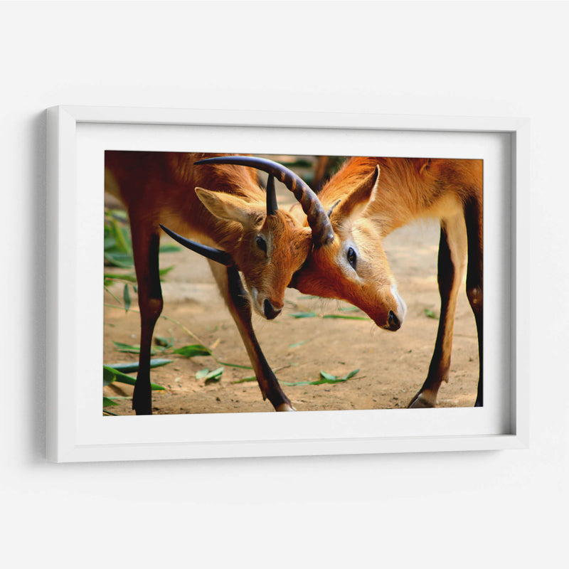 Amor de madre - Alan050 | Cuadro decorativo de Canvas Lab