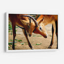 Amor de madre - Alan050 | Cuadro decorativo de Canvas Lab