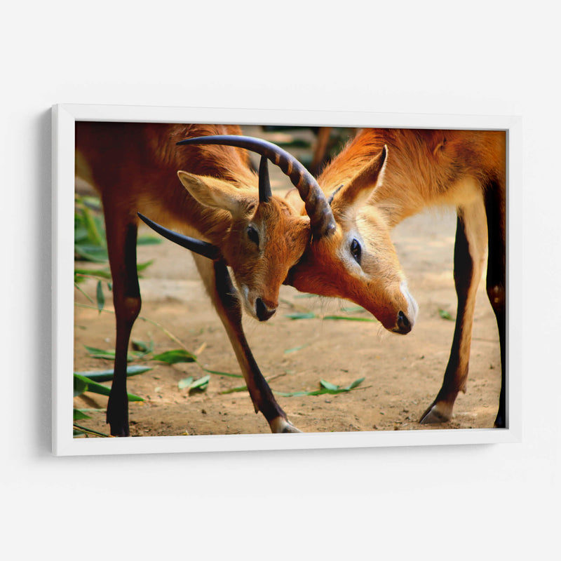 Amor de madre - Alan050 | Cuadro decorativo de Canvas Lab