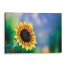 Girasol - Karina Álvarez | Cuadro decorativo de Canvas Lab