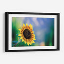 Girasol - Karina Álvarez | Cuadro decorativo de Canvas Lab