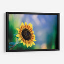 Girasol - Karina Álvarez | Cuadro decorativo de Canvas Lab