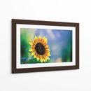 Girasol - Karina Álvarez | Cuadro decorativo de Canvas Lab