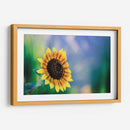 Girasol - Karina Álvarez | Cuadro decorativo de Canvas Lab