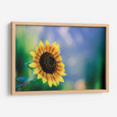 Girasol - Karina Álvarez | Cuadro decorativo de Canvas Lab