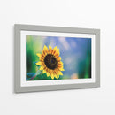Girasol - Karina Álvarez | Cuadro decorativo de Canvas Lab