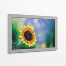 Girasol - Karina Álvarez | Cuadro decorativo de Canvas Lab