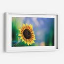 Girasol - Karina Álvarez | Cuadro decorativo de Canvas Lab