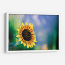 Girasol - Karina Álvarez | Cuadro decorativo de Canvas Lab