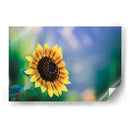 Girasol - Karina Álvarez | Cuadro decorativo de Canvas Lab