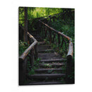 Caminos en el bosque - Alan050 | Cuadro decorativo de Canvas Lab