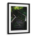 Caminos en el bosque - Alan050 | Cuadro decorativo de Canvas Lab