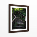 Caminos en el bosque - Alan050 | Cuadro decorativo de Canvas Lab