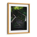 Caminos en el bosque - Alan050 | Cuadro decorativo de Canvas Lab