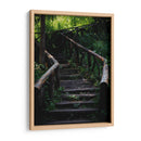 Caminos en el bosque - Alan050 | Cuadro decorativo de Canvas Lab