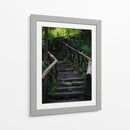 Caminos en el bosque - Alan050 | Cuadro decorativo de Canvas Lab