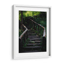 Caminos en el bosque - Alan050 | Cuadro decorativo de Canvas Lab