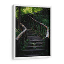 Caminos en el bosque - Alan050 | Cuadro decorativo de Canvas Lab