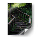 Caminos en el bosque - Alan050 | Cuadro decorativo de Canvas Lab