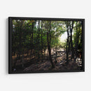 La luz del bosque - Alan050 | Cuadro decorativo de Canvas Lab