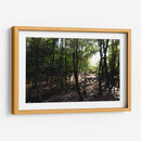 La luz del bosque - Alan050 | Cuadro decorativo de Canvas Lab