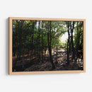 La luz del bosque - Alan050 | Cuadro decorativo de Canvas Lab