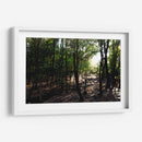 La luz del bosque - Alan050 | Cuadro decorativo de Canvas Lab