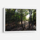 La luz del bosque - Alan050 | Cuadro decorativo de Canvas Lab
