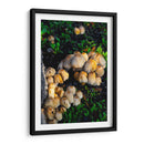 Setas salvajes - Alan050 | Cuadro decorativo de Canvas Lab