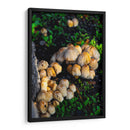 Setas salvajes - Alan050 | Cuadro decorativo de Canvas Lab