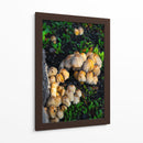 Setas salvajes - Alan050 | Cuadro decorativo de Canvas Lab