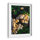 Setas salvajes - Alan050 | Cuadro decorativo de Canvas Lab