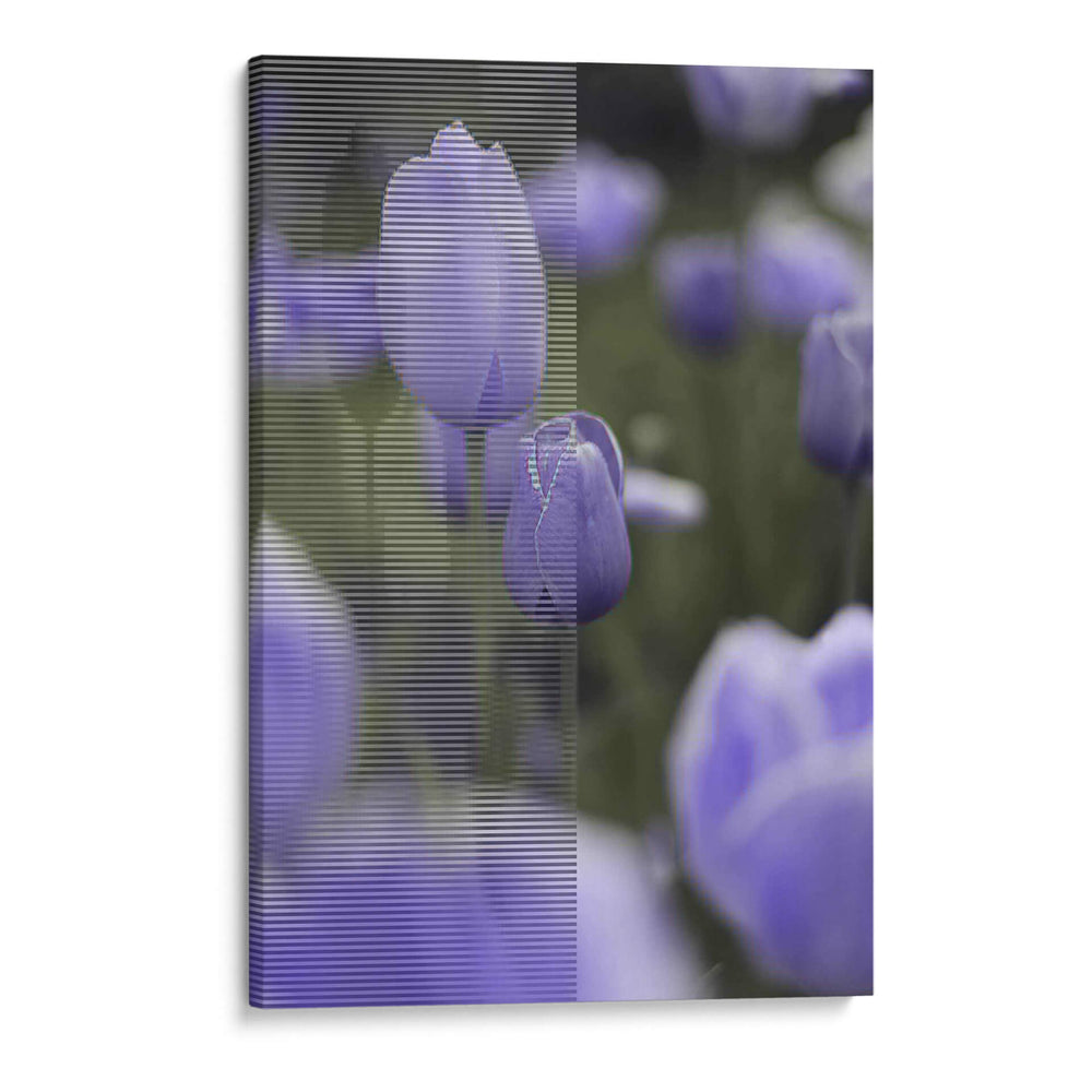 Tulipán - Karina Álvarez | Cuadro decorativo de Canvas Lab