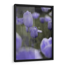 Tulipán - Karina Álvarez | Cuadro decorativo de Canvas Lab