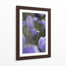 Tulipán - Karina Álvarez | Cuadro decorativo de Canvas Lab
