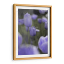 Tulipán - Karina Álvarez | Cuadro decorativo de Canvas Lab