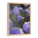 Tulipán - Karina Álvarez | Cuadro decorativo de Canvas Lab