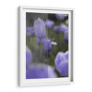 Tulipán - Karina Álvarez | Cuadro decorativo de Canvas Lab