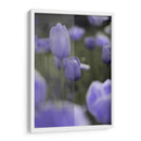 Tulipán - Karina Álvarez | Cuadro decorativo de Canvas Lab