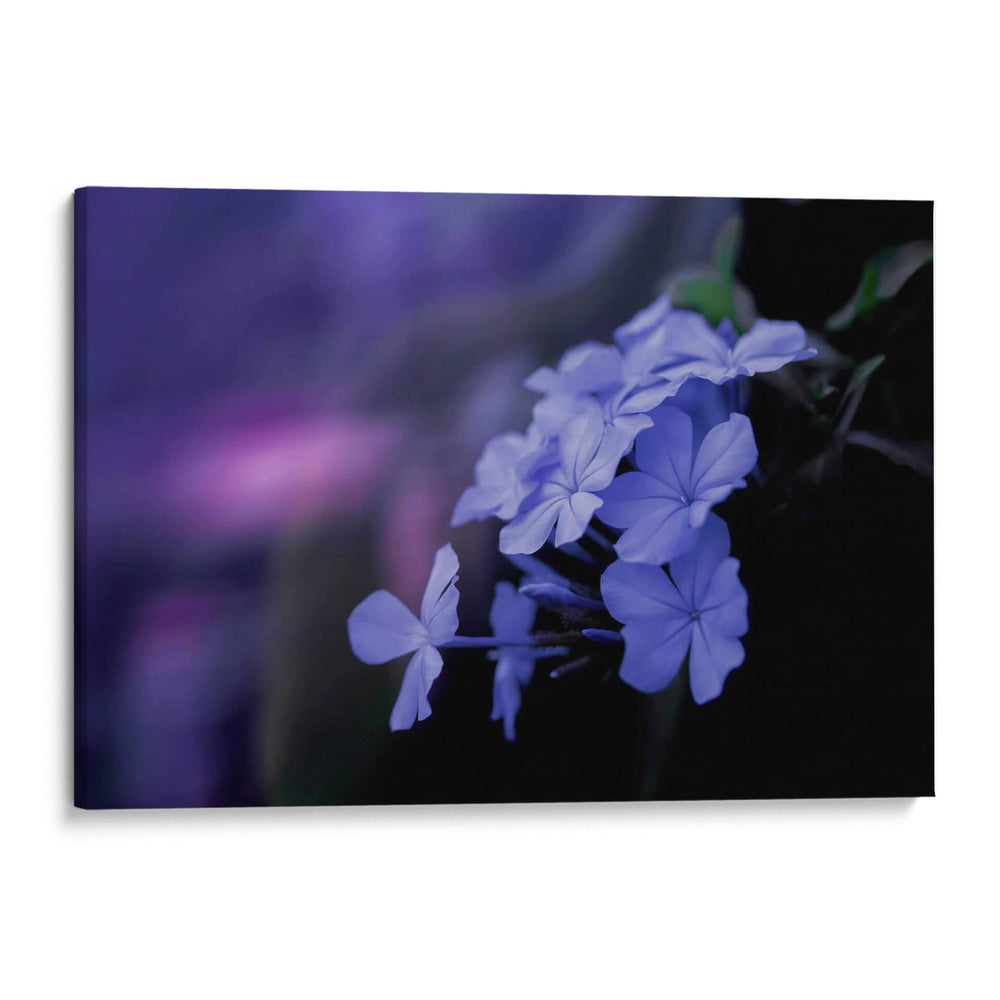 Azul de un rato - Karina Álvarez | Cuadro decorativo de Canvas Lab