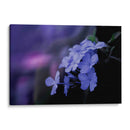 Azul de un rato - Karina Álvarez | Cuadro decorativo de Canvas Lab