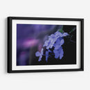 Azul de un rato - Karina Álvarez | Cuadro decorativo de Canvas Lab
