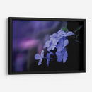 Azul de un rato - Karina Álvarez | Cuadro decorativo de Canvas Lab