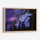 Azul de un rato - Karina Álvarez | Cuadro decorativo de Canvas Lab