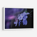 Azul de un rato - Karina Álvarez | Cuadro decorativo de Canvas Lab